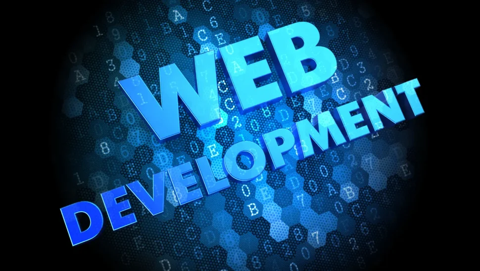 Desarrollo web en México